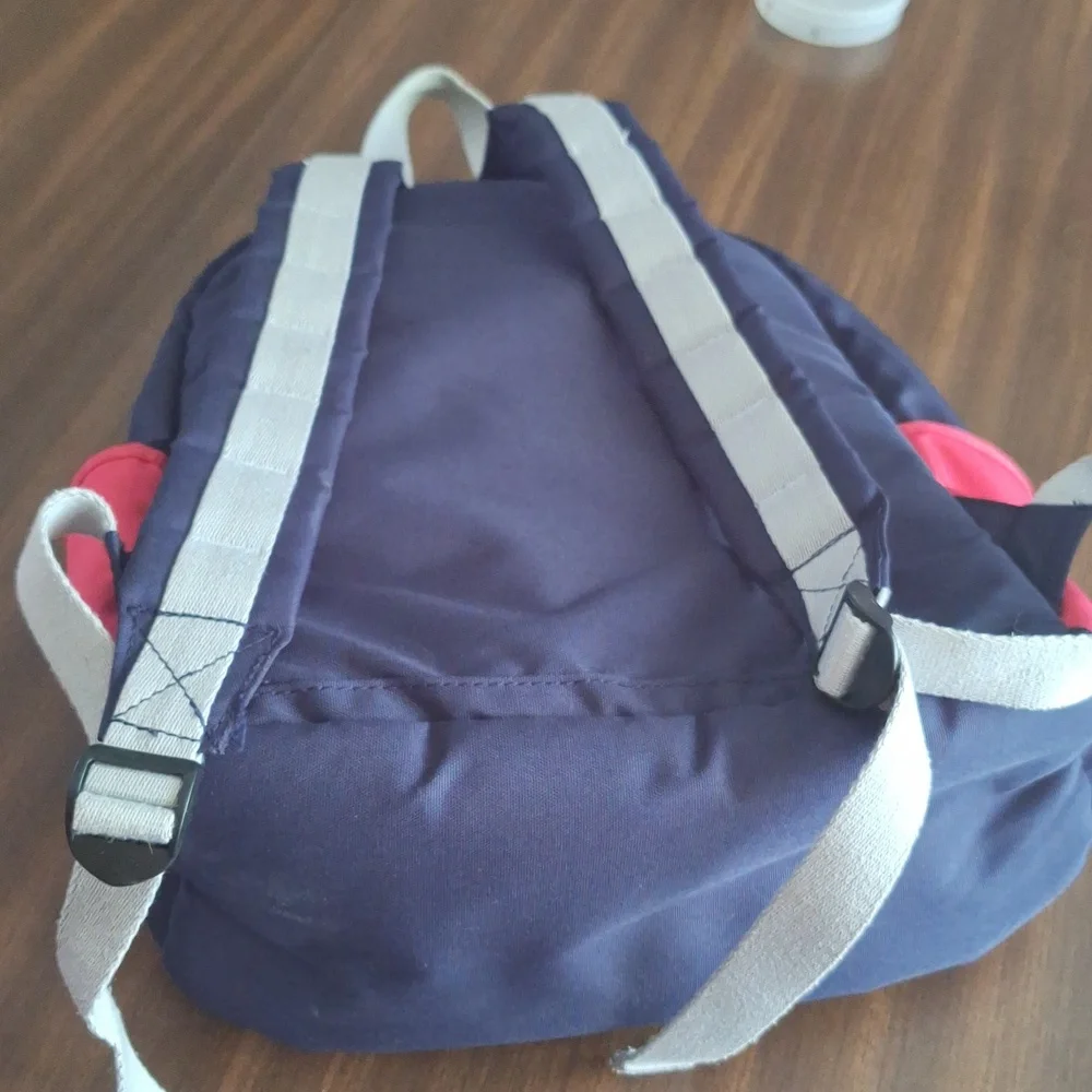 American Eagle Outfitters STATE Backpack